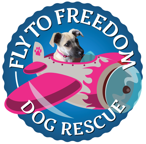 FTFDR-Logo
